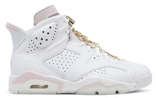 Air Jordan 6 Gold Hoops